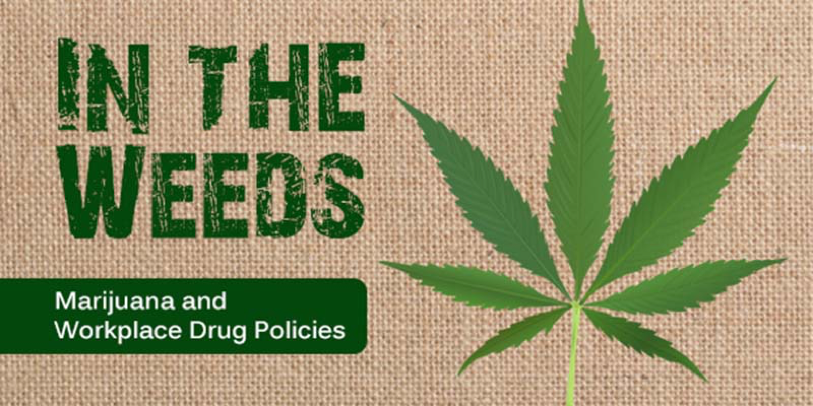 Marijuana-in-the-Workplace